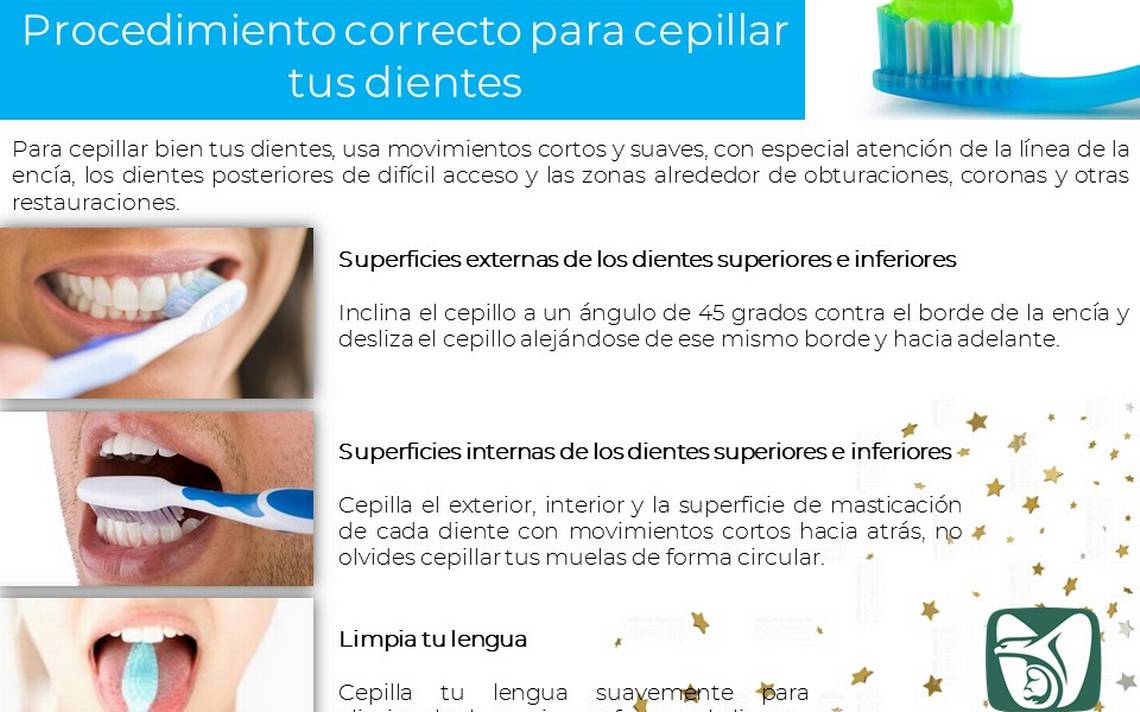 La Forma Correcta De Cepillar Los Dientes - Formă Blog